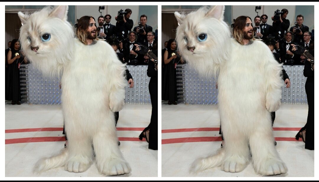 Yes, Jared Leto stunned in Big Cat costume on MET Gala 2023 red carpet in honor of Karl Lagerfeld's cat, Choupette