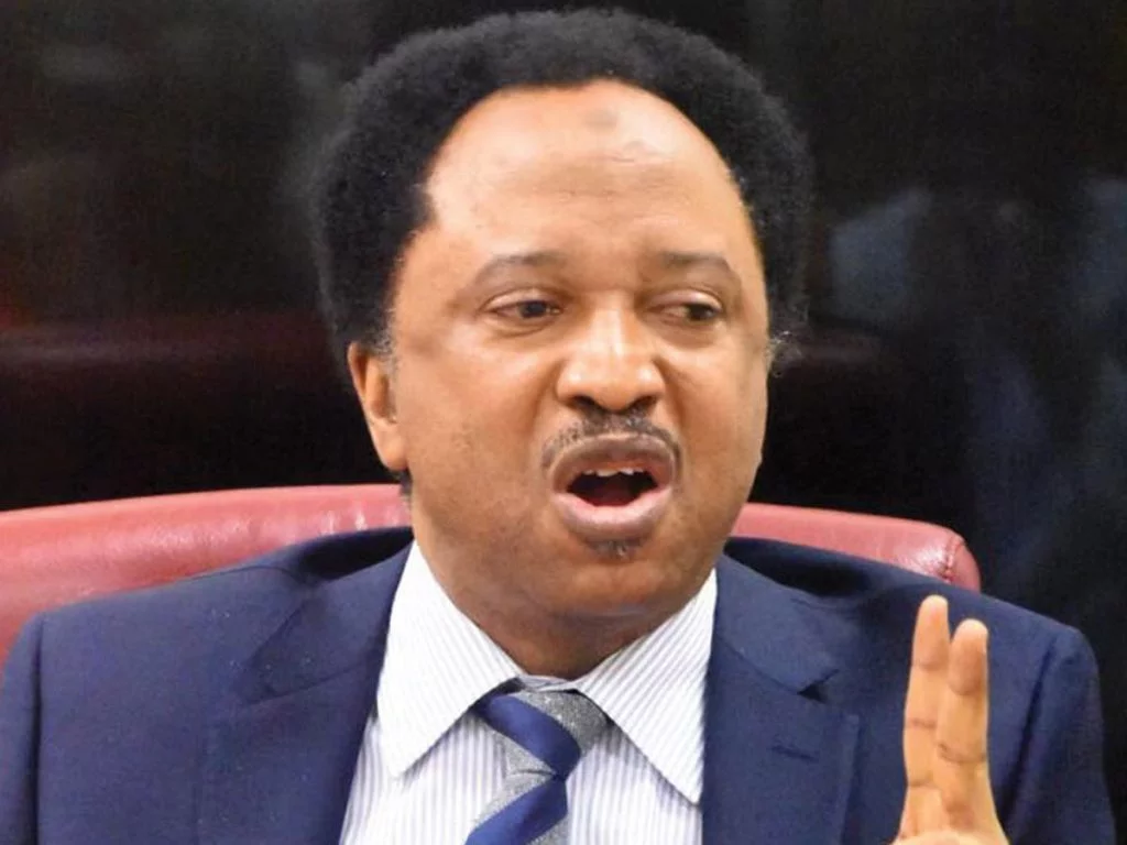 Shehu Sani thinks political leaders in Rivers, Ebonyi have bad attitudes, here's what He said